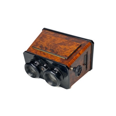 Stereoscope, Ronce de Thuya; Mattey; c. 1910; M-SH125