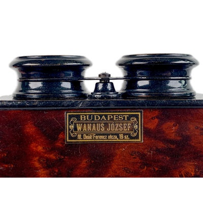 Stereoscope, Ronce de Thuya; Mattey; c. 1915; M-SH091