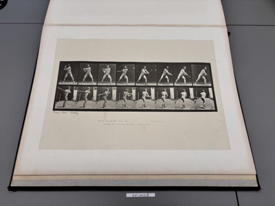 Collotype, Motion Studies, Human; Muybridge, Eadweard; 1887; EM1473.18 ...