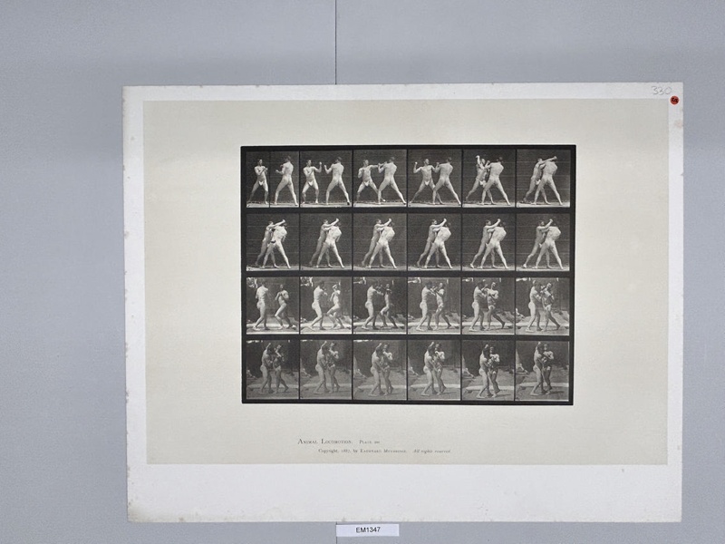 Collotype, Motion Studies, Human; Muybridge, Eadweard; 1887; EM1347 | eHive