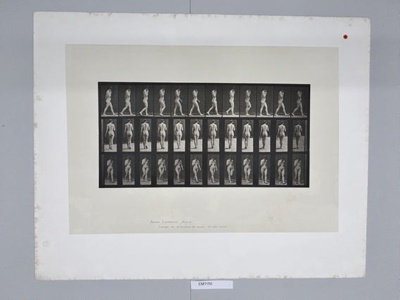Collotype, Motion Studies, Human; Muybridge, Eadweard; 1887; EM1150 | eHive