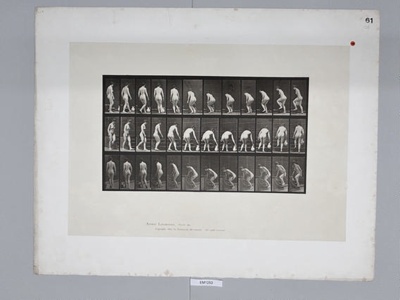 Collotype, Motion Studies, Human; Muybridge, Eadweard; 1887; EM1253 | eHive