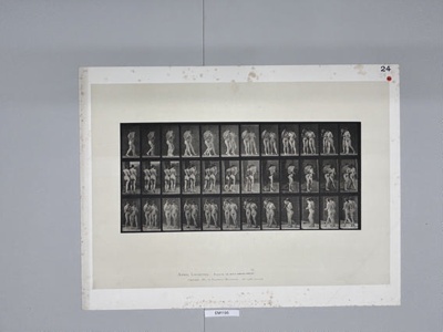 Collotype, Motion Studies, Human; Muybridge, Eadweard; 1887; EM1195 | eHive
