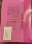 Collection of various papers and pictures related to Somerset Women’s Cricket; Unknown; 19xx; SCM.003041