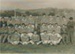 Bucklands Beach United Rugby Football Club Juniors; c1950; 2017.385.50