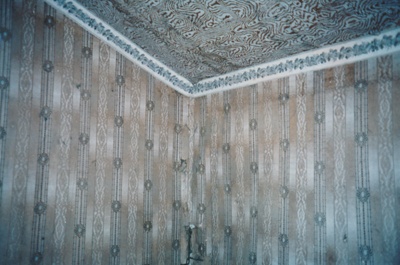 The wallpaper, c1866 in the lean-to of the Allenby Rd house which was the boy's bedroom.; La Roche, Alan; August 1994; P2021.51.03