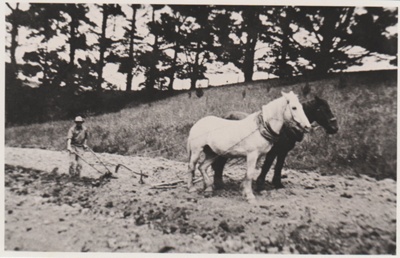 Ploughing on McLaughin Farm.; 1909; 2017.573.24