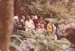 Arthur White adressing members of the Howick Histprical Society on the Waikopua tramp, Whitford.; La Roche, Alan; June 1983; P2022.42.05