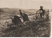 Early tractor ploughing in South Auckland.; c1920s; 2017.587.44
