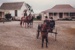 Two men on horseback and two more in a horse and gig during the filming of Hanlon, a TV series.; November 1984; P2021.175.01