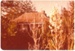 Maraetai Homestead at Maraetai; La Roche, Alan; 13/05/1978; 2017.307.65
