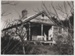 Fencible cottage at 34 Abercrombie Street; Richardson, James D; 1939; 2017.624.42