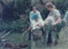 Archie Somerville planting a totara tree at the opening of Somerville's cowshed in the Howick Historical Village. 

Photo is blurred with another image.; La Roche, Alan; 16 November 1986; P2020.23.04