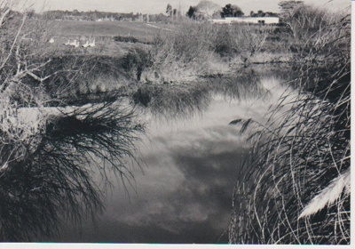 East Tamaki mill pond; La Roche, Alan; 1/07/1991; 2018.177.01