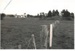 View across farmland to East Tamaki Road; 1955; 2017.188.37