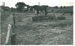 Draught horse, Panmure 1940s; Fairfield, Geoff; c1940; 2017.250.05