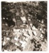 Aerial View, Howick, 1972; January 1972; 00049