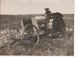 Early tractor ploughing in South Auckland.; c1920s; 2017.587.41