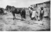 Shaw children with horse "Rookie"; circa 1920; 0092