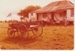Open day at the Howick Historical Village showing a cart in front of Eckfords cottage.; 7/04/1979; 2019.100.10