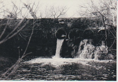 East Tamaki water mill site; La Roche, Alan; 1/07/1991; 2018.177.00