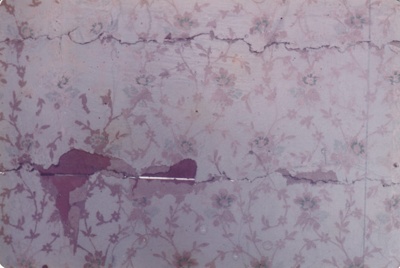 Wallpaper from the front right hand side of Eckford's homestead before removal to the Howick Historical Village. ; La Roche, Alan; April 1978; P2021.09.20