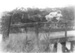 Hattaway Family Crossing Mangemangeroa Bridge; 1914; 9115
