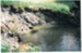 Pakuranga Creek; La Roche, Alan; 1991; 2016.480.78