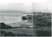 Above Cockle Bay c.1900; Winkleman, Henry; c1900; 2017.195.04