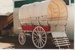 A covered wagon in the Clydesdale Museum.; 30/08/1981; 2017.553.35