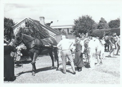 People looking at a horse and cart on the grass on Church Street in Howick Historical Village.; La Roche, Alan; 27 February 1988; P2021.180.13