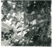 Aerial View, Howick, 1972.; 1972; 2016.132.49
