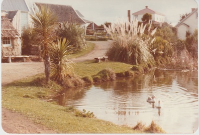 Looking across the pond to the sod cottage, Sergeant Barry's and Bell House; La Roche, Alan; 1/09/1984; 2019.108.03