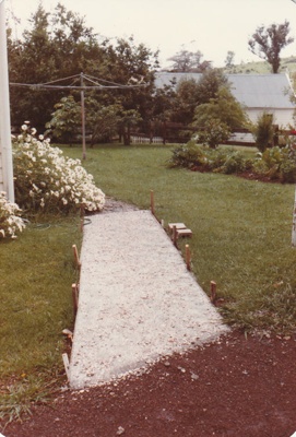A new shell path for the Vicarage at the Historical Village. ; La Roche, Alan; December 1984; P2020.32.01