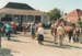 People watching a horse and cart being driven on Grey Street on Church Street at the Mayday celebrations at Howick Historical Village.; La Roche, Alan; 3 May 1987; P2021.168.13