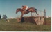 NZ Pony Club Championship, 1982; Thomson, Barbara, Karori, Wellington; 1982; 2017.109.91