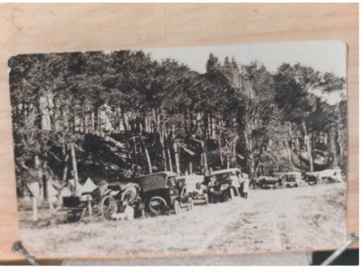 The Plantation at Bucklands Beach. White family picnic at Bucklands Beach; Price, William A; c1910; 2016.617.18