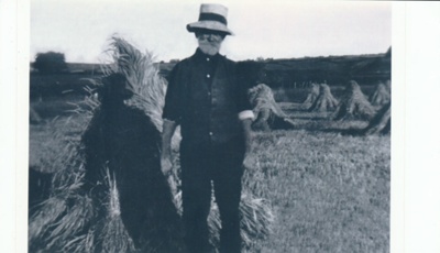 Ned Fitzpatrick harvesting at Pakuranga showing rye stacks.; 1928; 2018.340.01