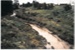 Pakuranga creek near Highland Park; La Roche, Alan; 1988; 2016.486.84