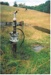 Hot water bore in Brownhill Road,; La Roche, Alan; 2009; 2017.092.46