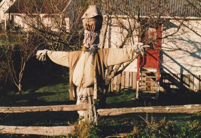 A scarecrow in the garden behind White's Store. ; P2020.87.03