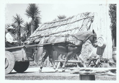 A horse and box cart outside the sodl cottage on Church Street in Howick Historical Village.; La Roche, Alan; 27 February 1988; P2021.180.09