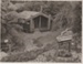 Torere Ngai Tai in the Tainui Garden 1947; Breckon, A.N., Northcote; 1947; 2019.089.07