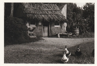 Ducks in front of the Sod Cottage, Howick Historical Village 
; La Roche, Alan; May 1988; P2020.43.30