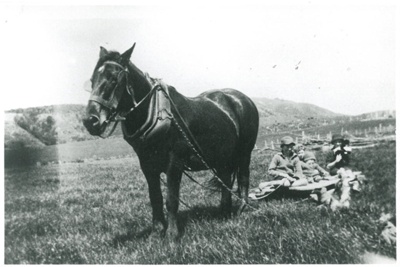 Horse pulling children on sledge; 1927; 2017.106.63