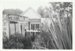 Kay Langdon's cottage at 33 Drake Street, Howick before its removal to Howick Historical Village to become Brindle Cottage.; La Roche, Alan; June 1977; P2021.38.02