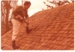 David Edwards on the roof of Omana Homestead; La Roche, Alan; 13/05/1978; 2017.307.63