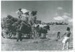 Haymaking on Ferguson's farm, East Tamaki; 1955; 2017.189.86