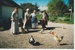 Richard and Prue Lees with two other women looking at the Village chickens.; La Roche, Alan; 1/08/1985; 2019.112.02
