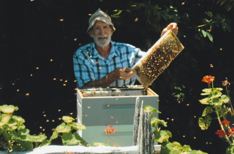 Paul Brown, the Howick Historical Village Beekeeper, with one of his ...